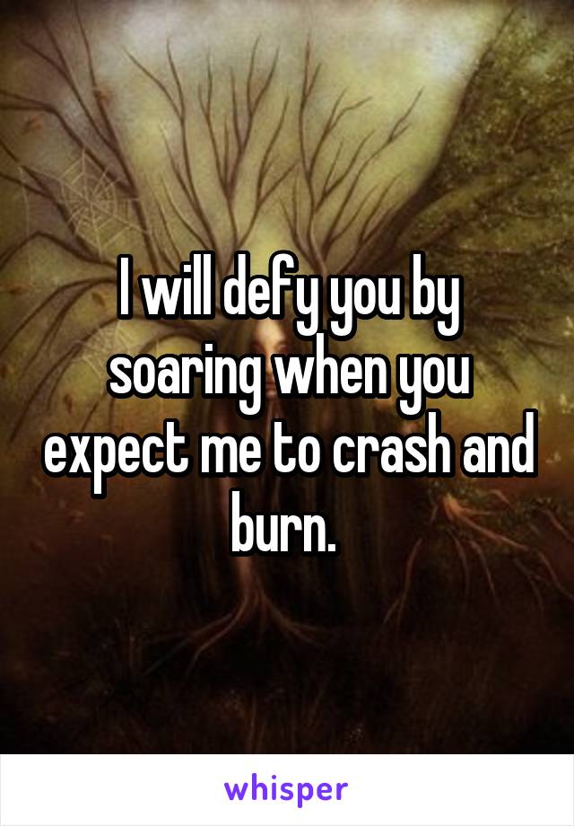 I will defy you by soaring when you expect me to crash and burn. 