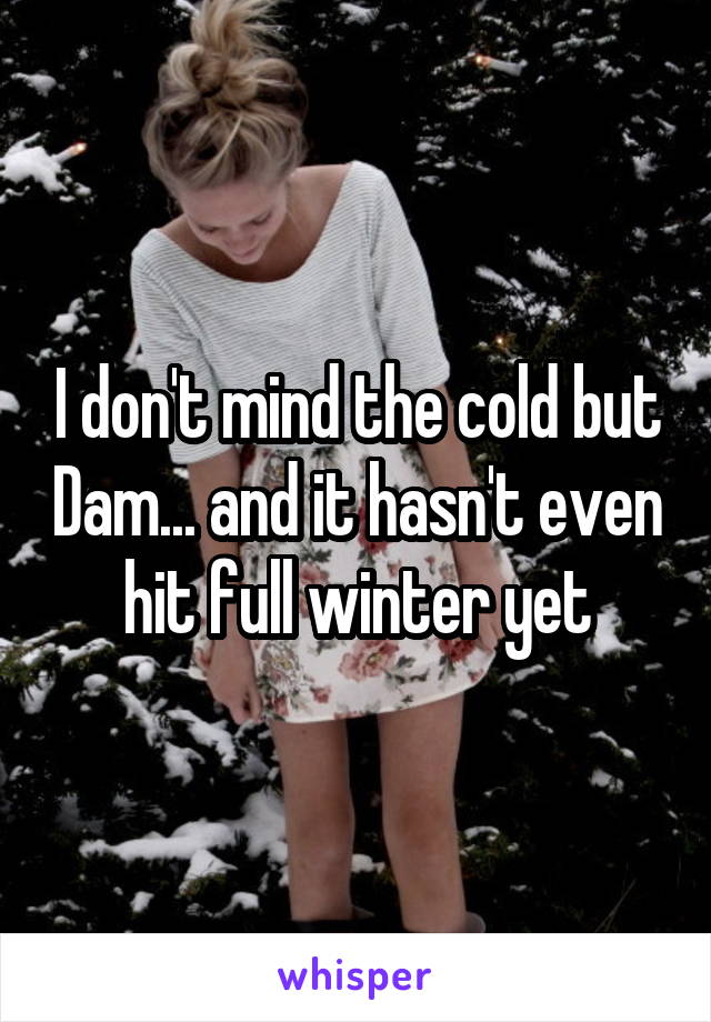 I don't mind the cold but Dam... and it hasn't even hit full winter yet