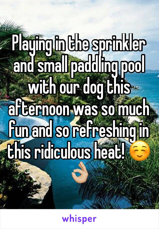 Playing in the sprinkler and small paddling pool with our dog this afternoon was so much fun and so refreshing in this ridiculous heat! ☺️👌🏼