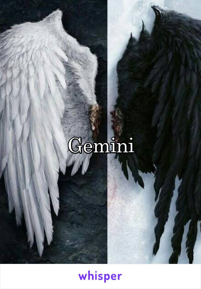 Gemini