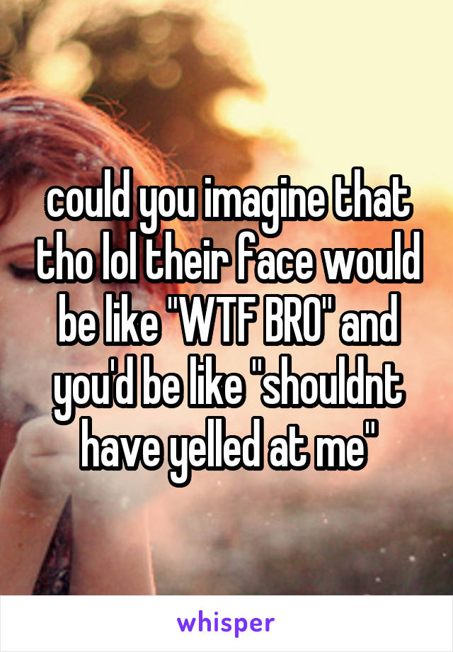 could you imagine that tho lol their face would be like "WTF BRO" and you'd be like "shouldnt have yelled at me"