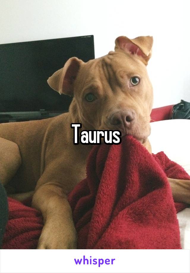 Taurus