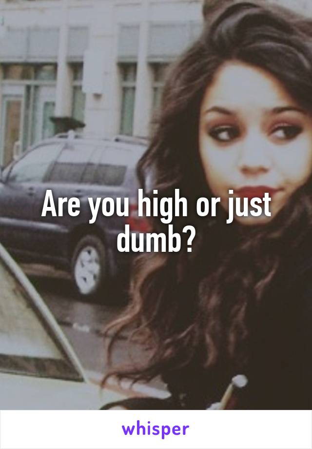 Are you high or just dumb?