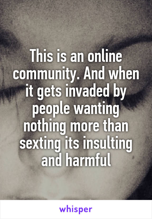 This is an online community. And when it gets invaded by people wanting nothing more than sexting its insulting and harmful