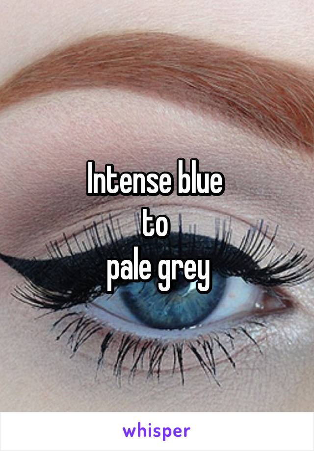 Intense blue 
to 
pale grey