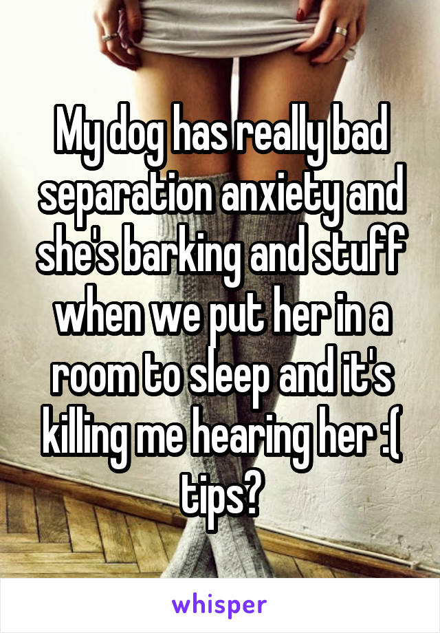 My dog has really bad separation anxiety and she's barking and stuff when we put her in a room to sleep and it's killing me hearing her :( tips?