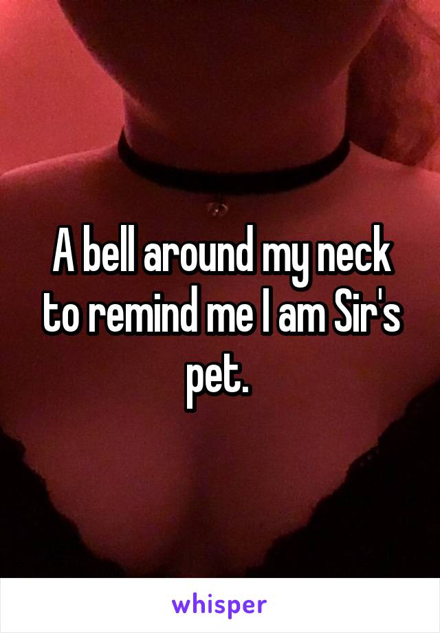 A bell around my neck to remind me I am Sir's pet. 