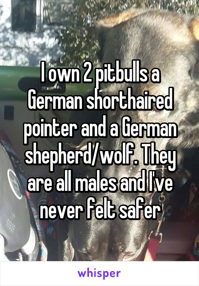 I own 2 pitbulls a German shorthaired pointer and a German shepherd/wolf. They are all males and I've never felt safer