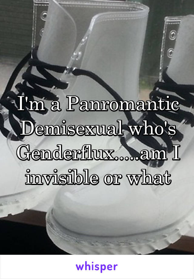 I'm a Panromantic Demisexual who's Genderflux.....am I invisible or what