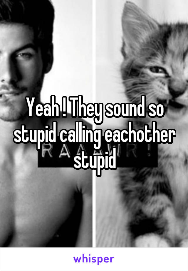 Yeah ! They sound so stupid calling eachother stupid