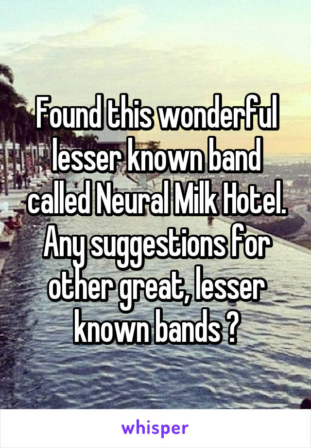 Found this wonderful lesser known band called Neural Milk Hotel. Any suggestions for other great, lesser known bands ?