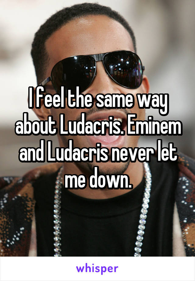 I feel the same way about Ludacris. Eminem and Ludacris never let me down.