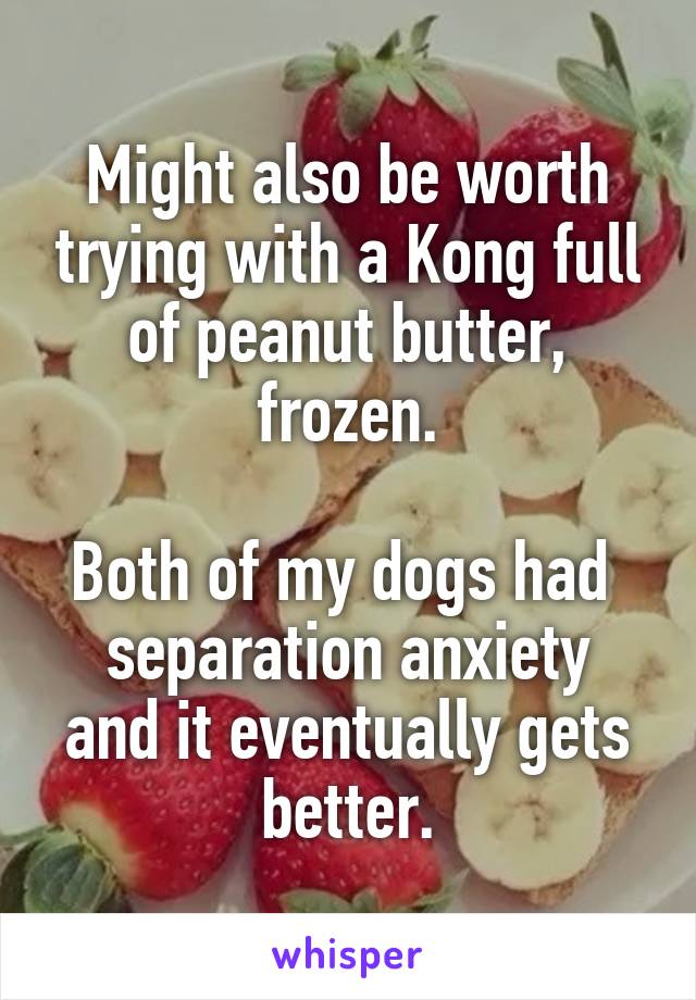 Might also be worth trying with a Kong full of peanut butter, frozen.

Both of my dogs had 
separation anxiety and it eventually gets better.