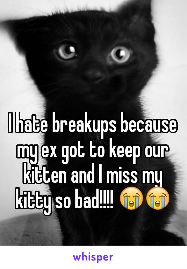 I hate breakups because my ex got to keep our kitten and I miss my kitty so bad!!!! 😭😭