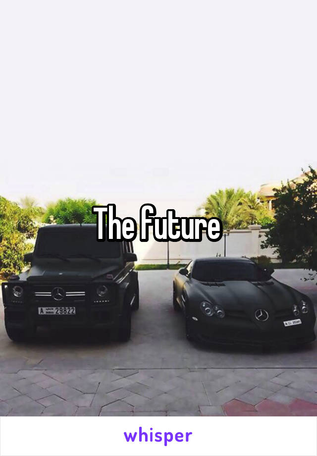 The future 