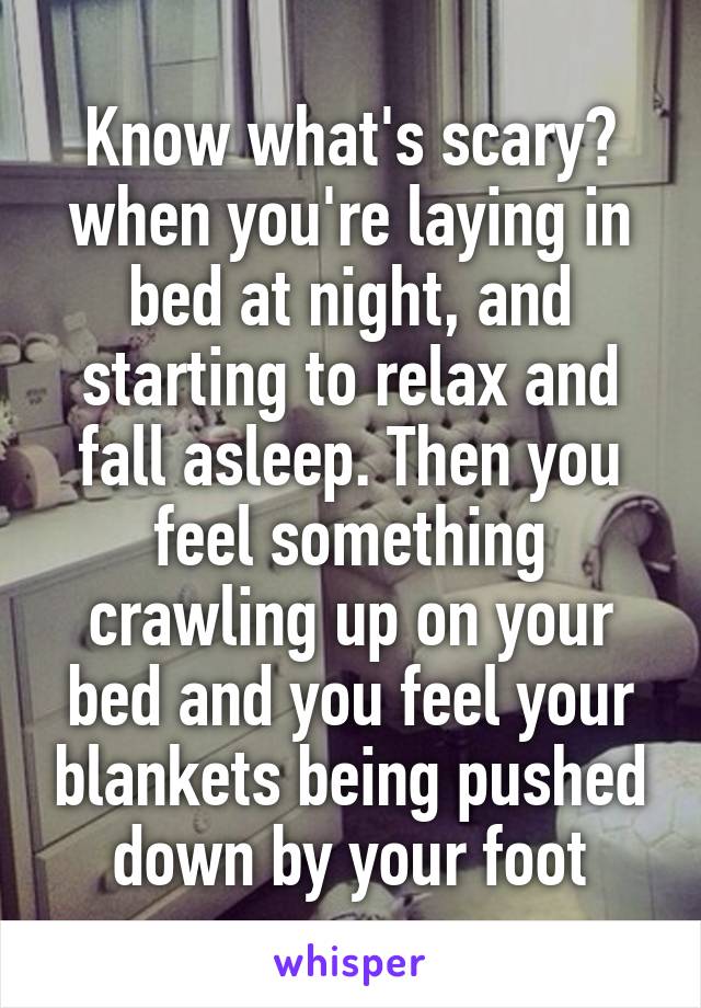 Know what's scary? when you're laying in bed at night, and starting to relax and fall asleep. Then you feel something crawling up on your bed and you feel your blankets being pushed down by your foot