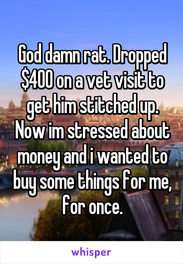 God damn rat. Dropped $400 on a vet visit to get him stitched up. Now im stressed about money and i wanted to buy some things for me, for once.