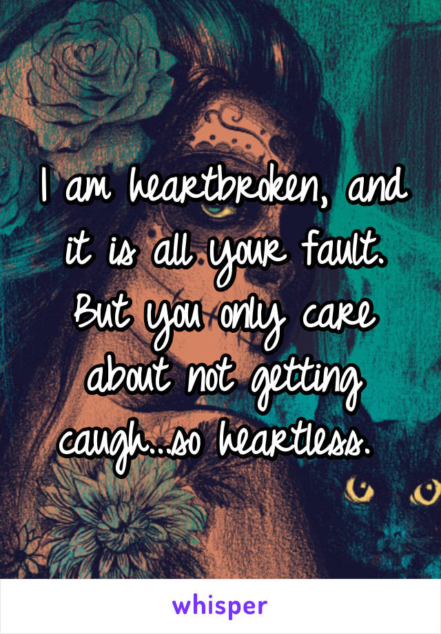 I am heartbroken, and it is all your fault. But you only care about not getting caugh...so heartless. 