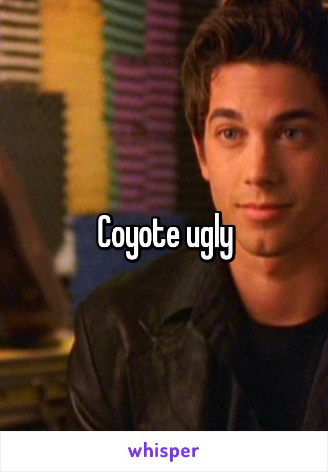 Coyote ugly