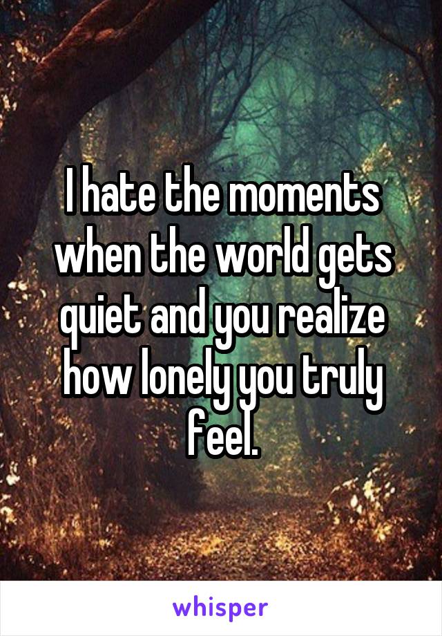 I hate the moments when the world gets quiet and you realize how lonely you truly feel.