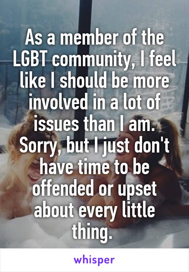 As a member of the LGBT community, I feel like I should be more involved in a lot of issues than I am. Sorry, but I just don't have time to be offended or upset about every little thing. 