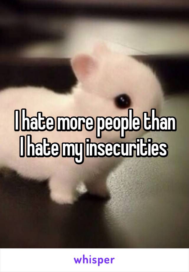 I hate more people than I hate my insecurities 