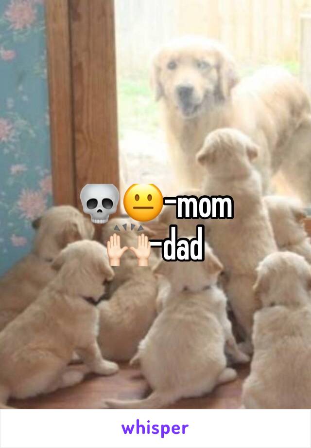 💀😐-mom
🙌🏻-dad