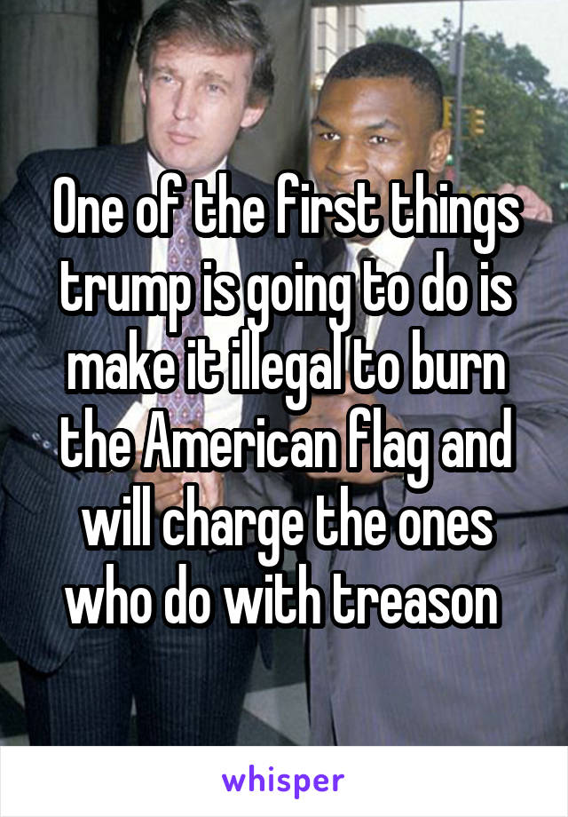 One of the first things trump is going to do is make it illegal to burn the American flag and will charge the ones who do with treason 