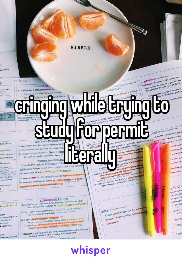 cringing while trying to study for permit literally 