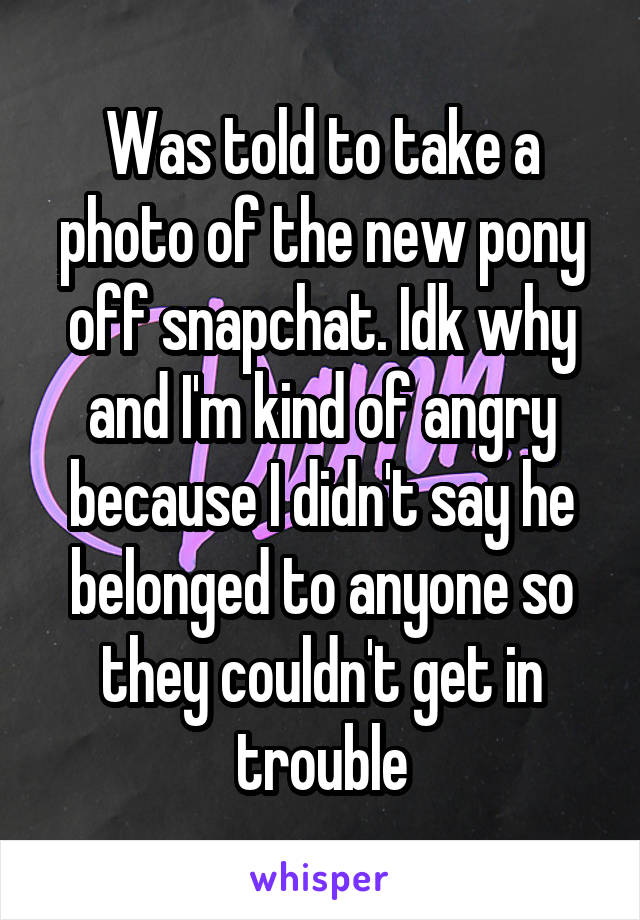 Was told to take a photo of the new pony off snapchat. Idk why and I'm kind of angry because I didn't say he belonged to anyone so they couldn't get in trouble