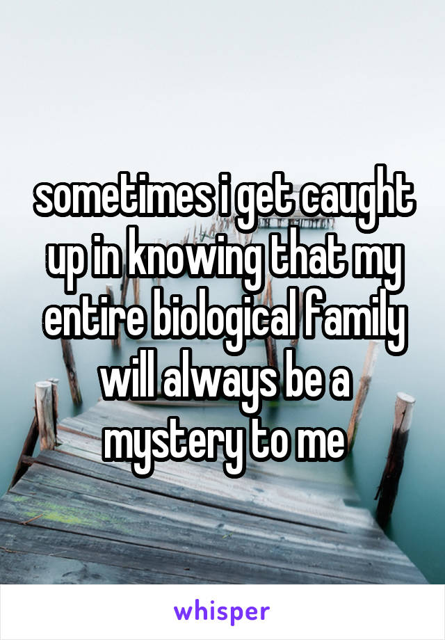 sometimes i get caught up in knowing that my entire biological family will always be a mystery to me