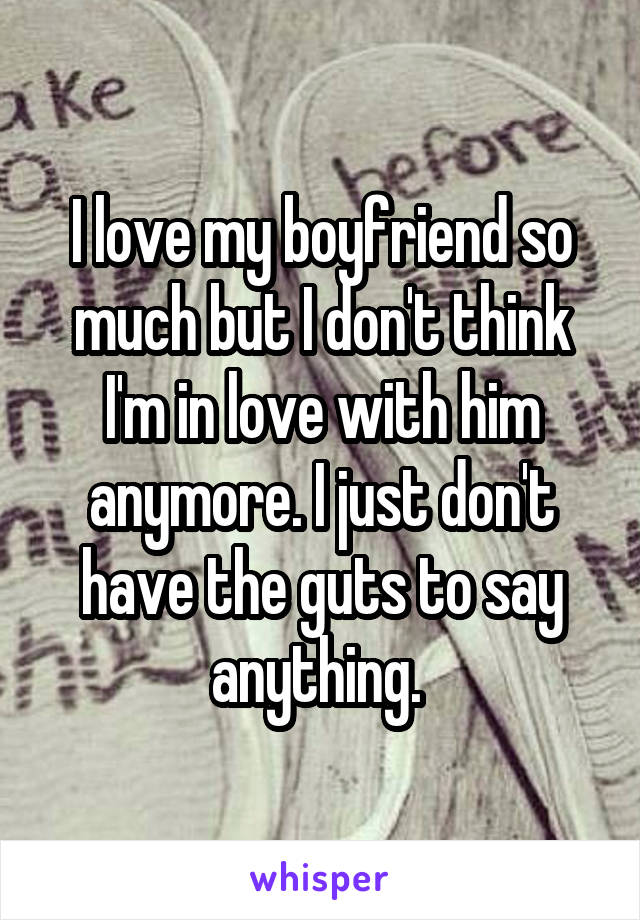 I love my boyfriend so much but I don't think I'm in love with him anymore. I just don't have the guts to say anything. 