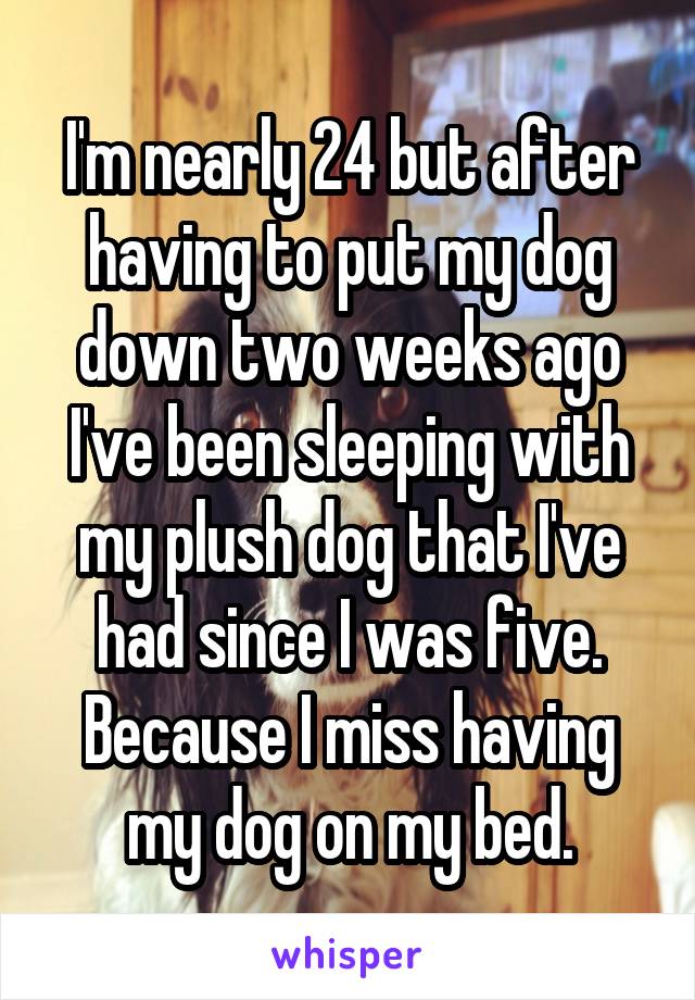 I'm nearly 24 but after having to put my dog down two weeks ago I've been sleeping with my plush dog that I've had since I was five. Because I miss having my dog on my bed.