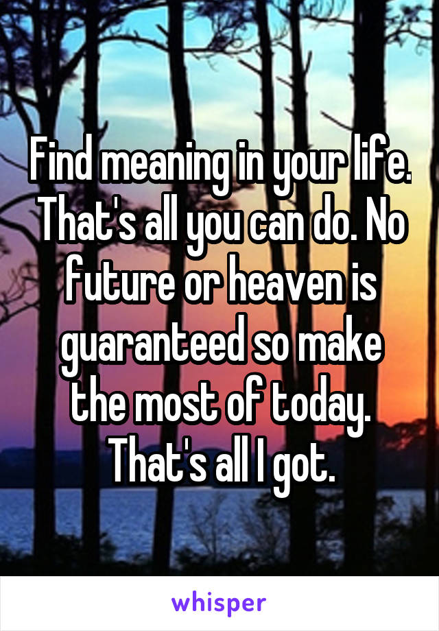 Find meaning in your life. That's all you can do. No future or heaven is guaranteed so make the most of today. That's all I got.