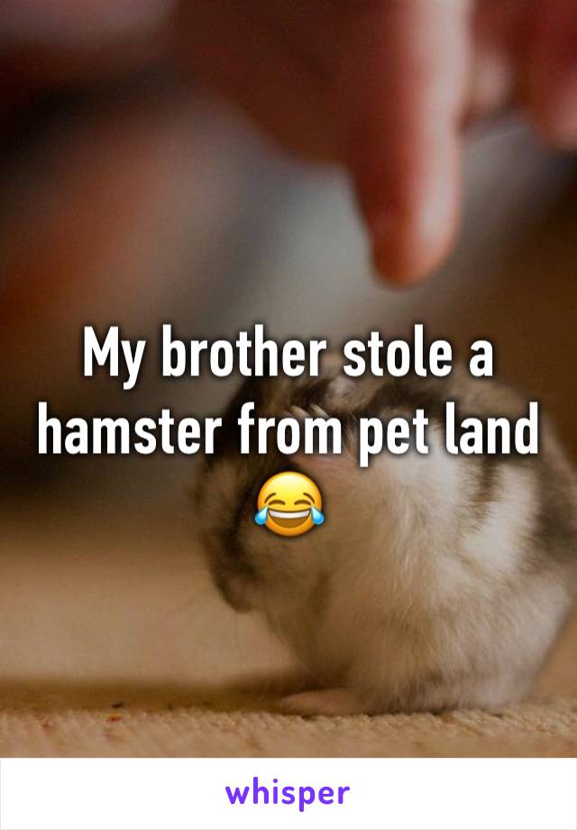 My brother stole a hamster from pet land 😂