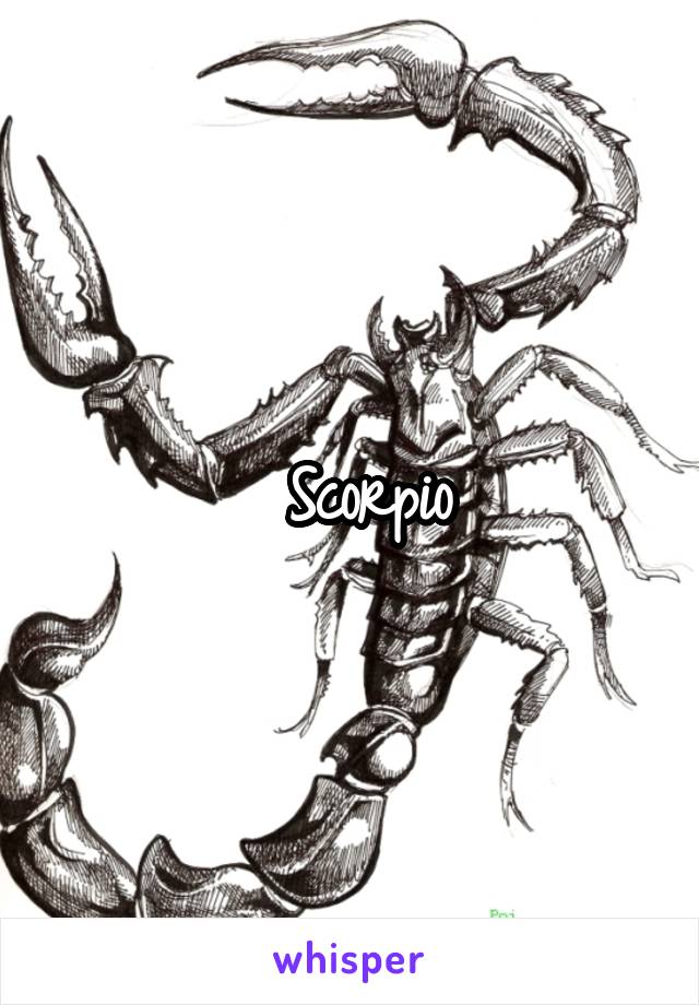  Scorpio