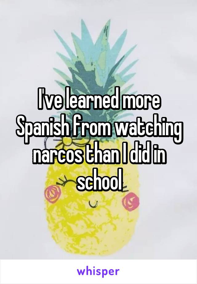 I've learned more Spanish from watching narcos than I did in school
