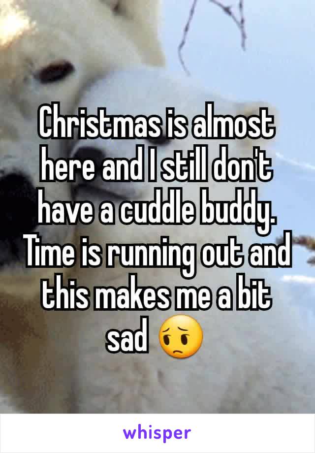 Christmas is almost here and I still don't have a cuddle buddy. Time is running out and this makes me a bit sad 😔