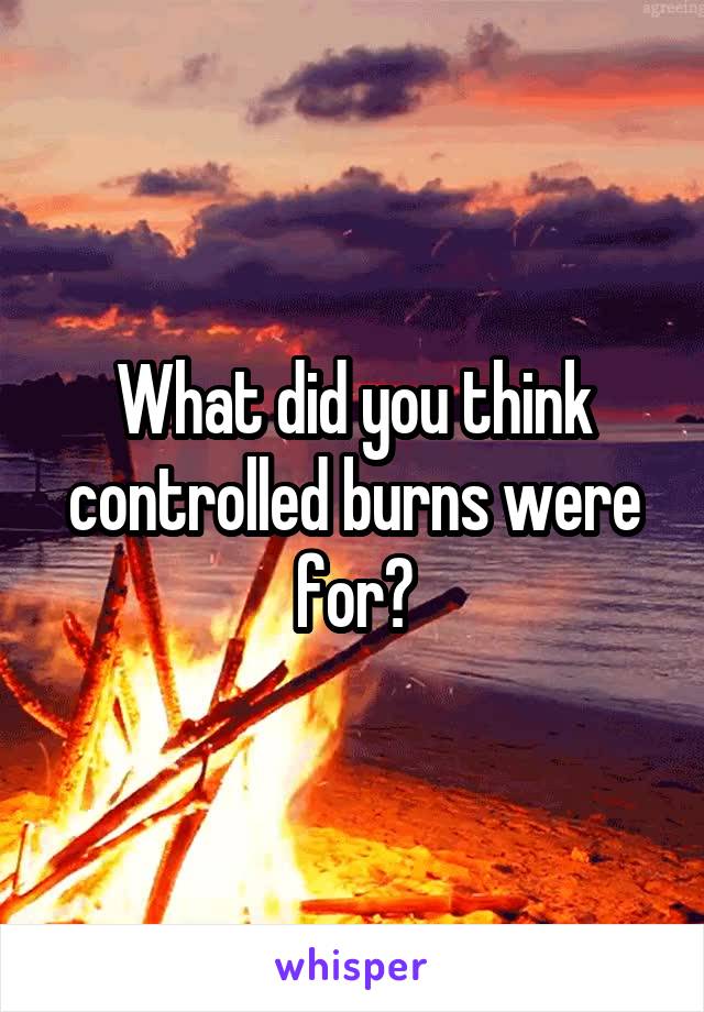 What did you think controlled burns were for?