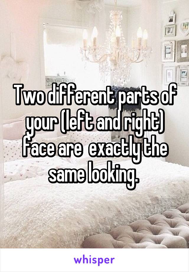 Two different parts of your (left and right) face are  exactly the same looking. 