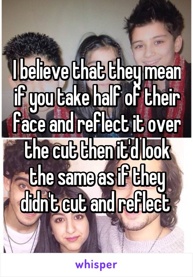 I believe that they mean if you take half of their face and reflect it over the cut then it'd look the same as if they didn't cut and reflect 
