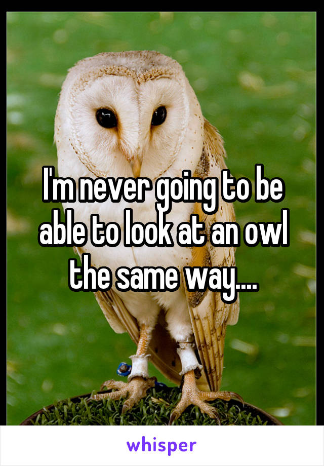 I'm never going to be able to look at an owl the same way....