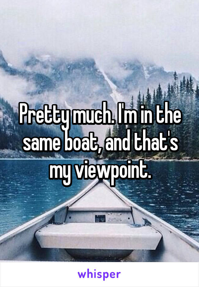 Pretty much. I'm in the same boat, and that's my viewpoint.