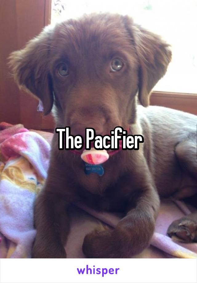 The Pacifier