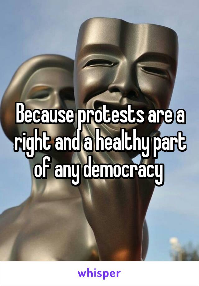 Because protests are a right and a healthy part of any democracy 