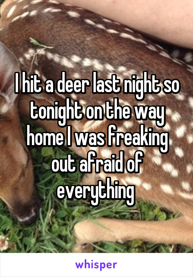 I hit a deer last night so tonight on the way home I was freaking out afraid of everything 