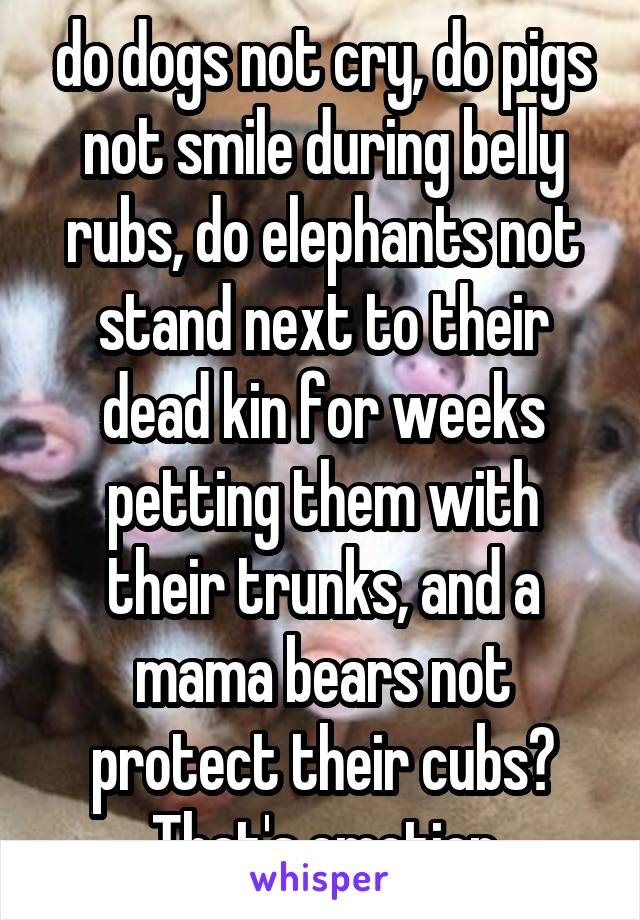 do dogs not cry, do pigs not smile during belly rubs, do elephants not stand next to their dead kin for weeks petting them with their trunks, and a mama bears not protect their cubs? That's emotion