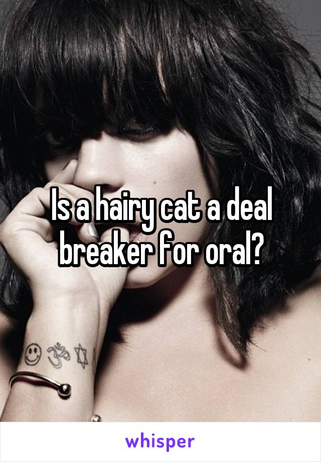 Is a hairy cat a deal breaker for oral?