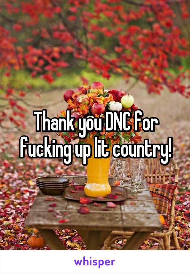 Thank you DNC for fucking up lit country!