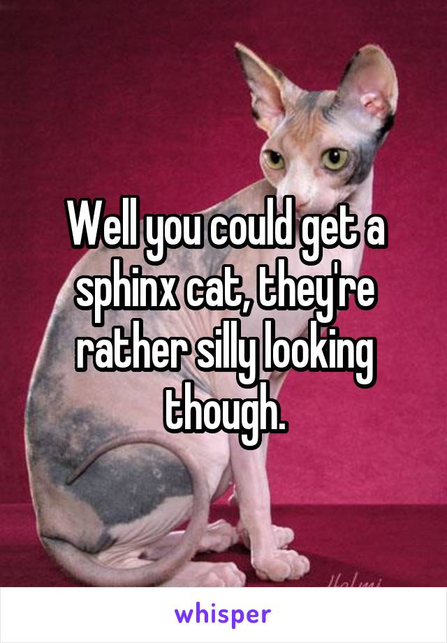Well you could get a sphinx cat, they're rather silly looking though.